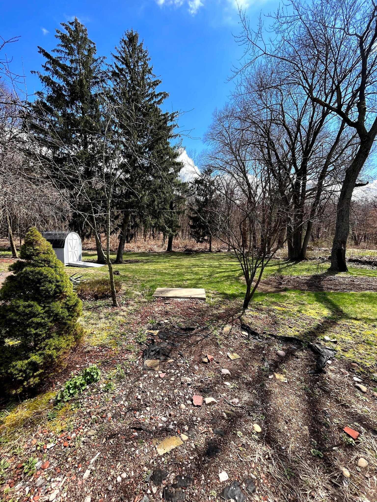 Backyard Garden - 218 Charter Oak St