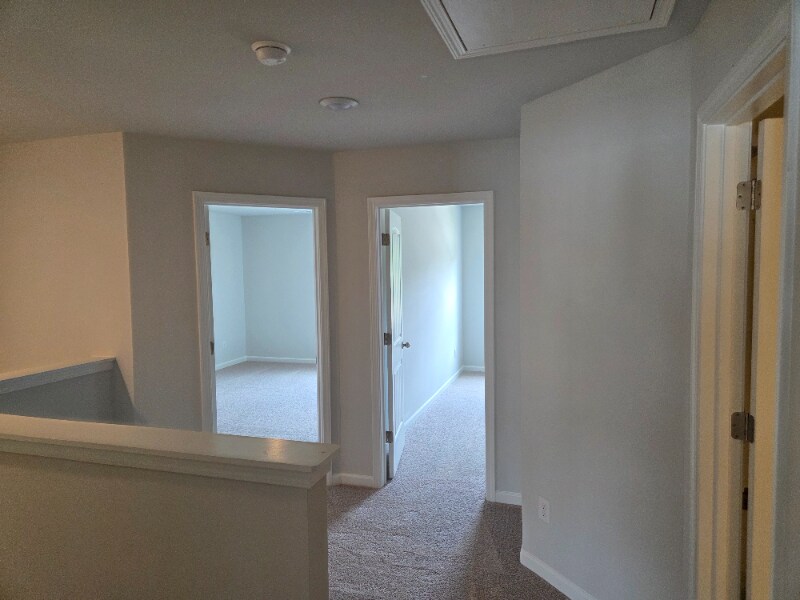 Building Photo - 308 Shine Dr