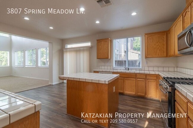 Building Photo - 3807 Spring Meadow Ln
