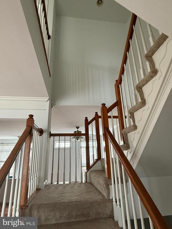Building Photo - 2833 Grace Forest Pl