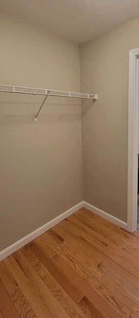 Building Photo - 53 Gatsby Dr