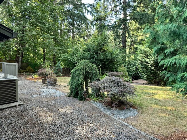 Building Photo - Large one level home with secluded backyar...