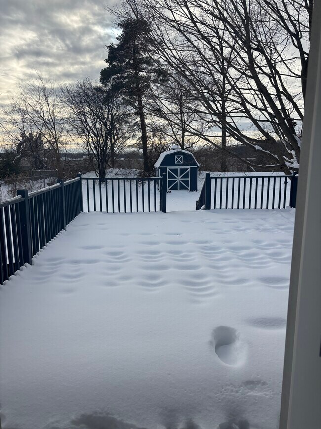 Building Photo - 103 Cherry St