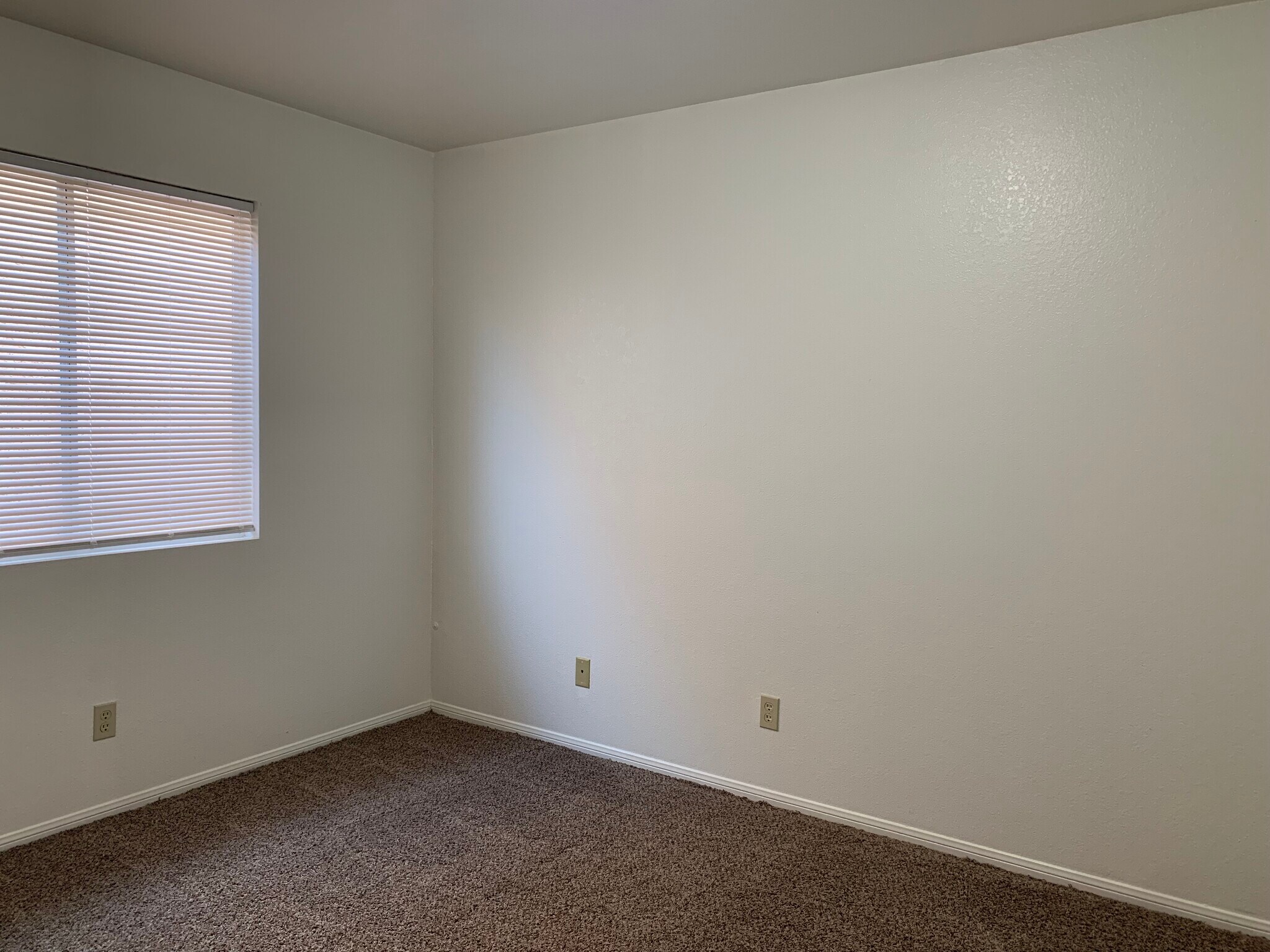 Building Photo - 1636 Palmae Way