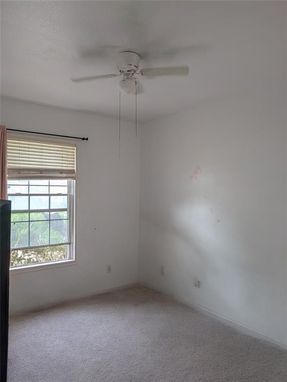 Building Photo - 370 Spring Dr