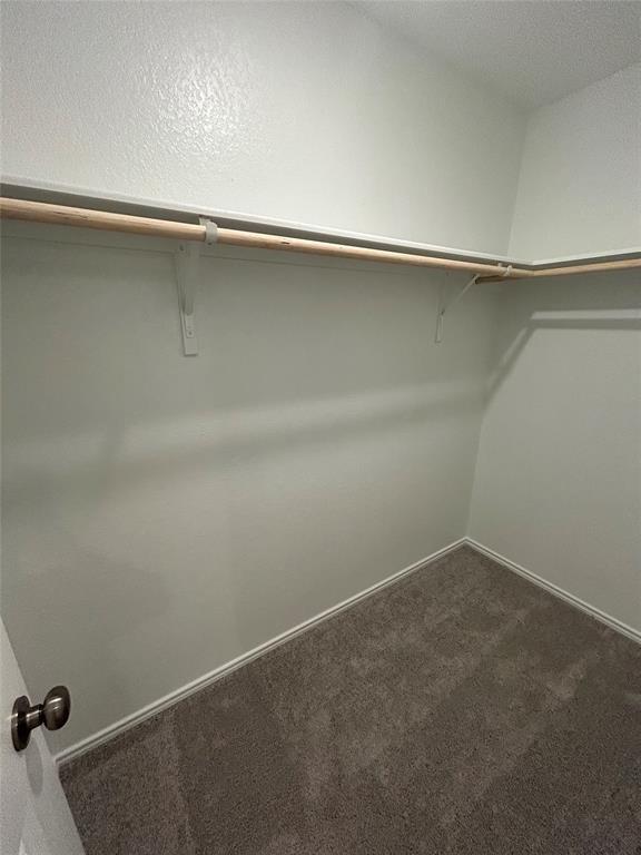 Building Photo - 1026 Soapstone Pass