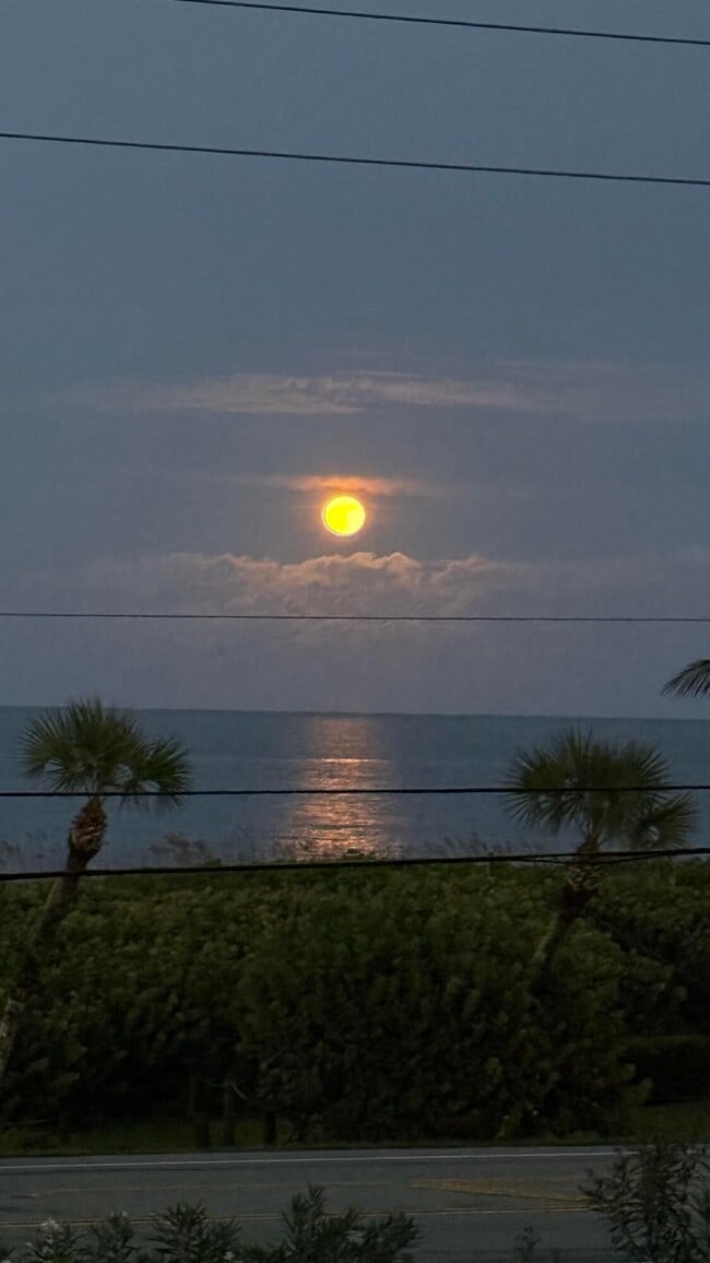 Building Photo - 5159 N Hwy A1A