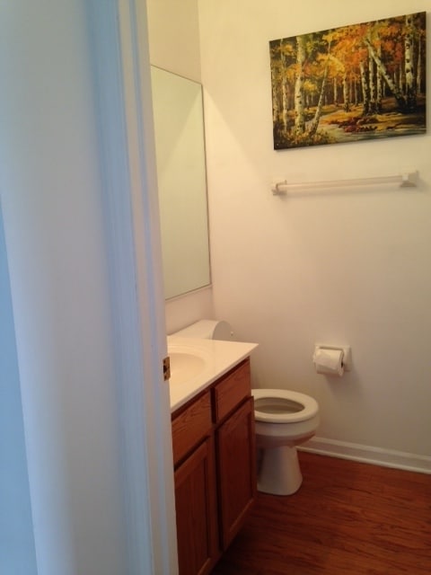 Powder Room - 932 Pimpernel Ct