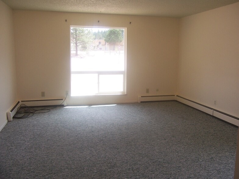 Big Picture Window in Family Room - 506 Mountain View Pl