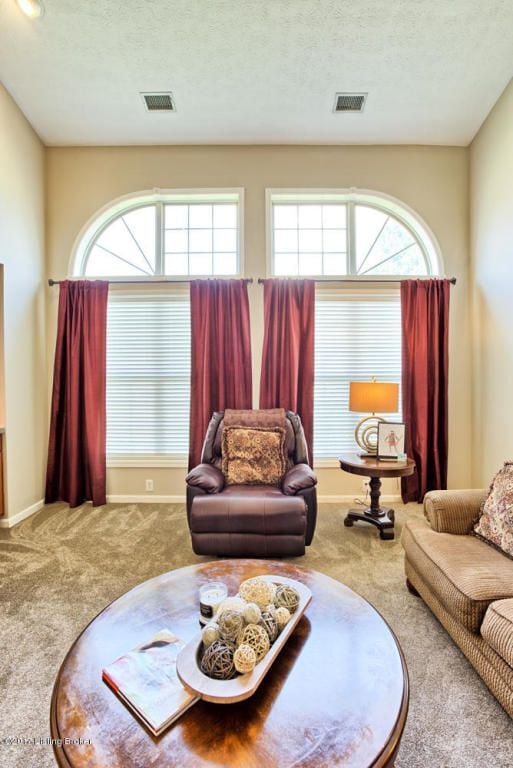 Family Room - 9217 Eminence Ct