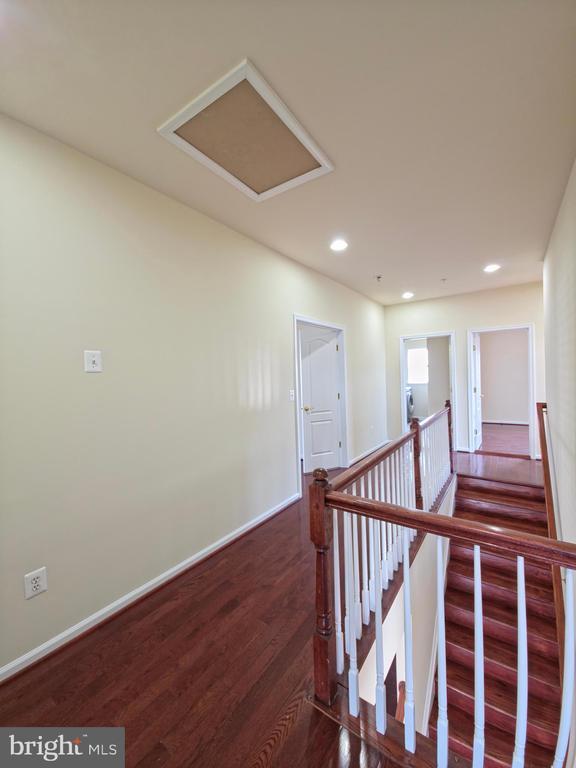 Building Photo - 7108 Sudley Ave