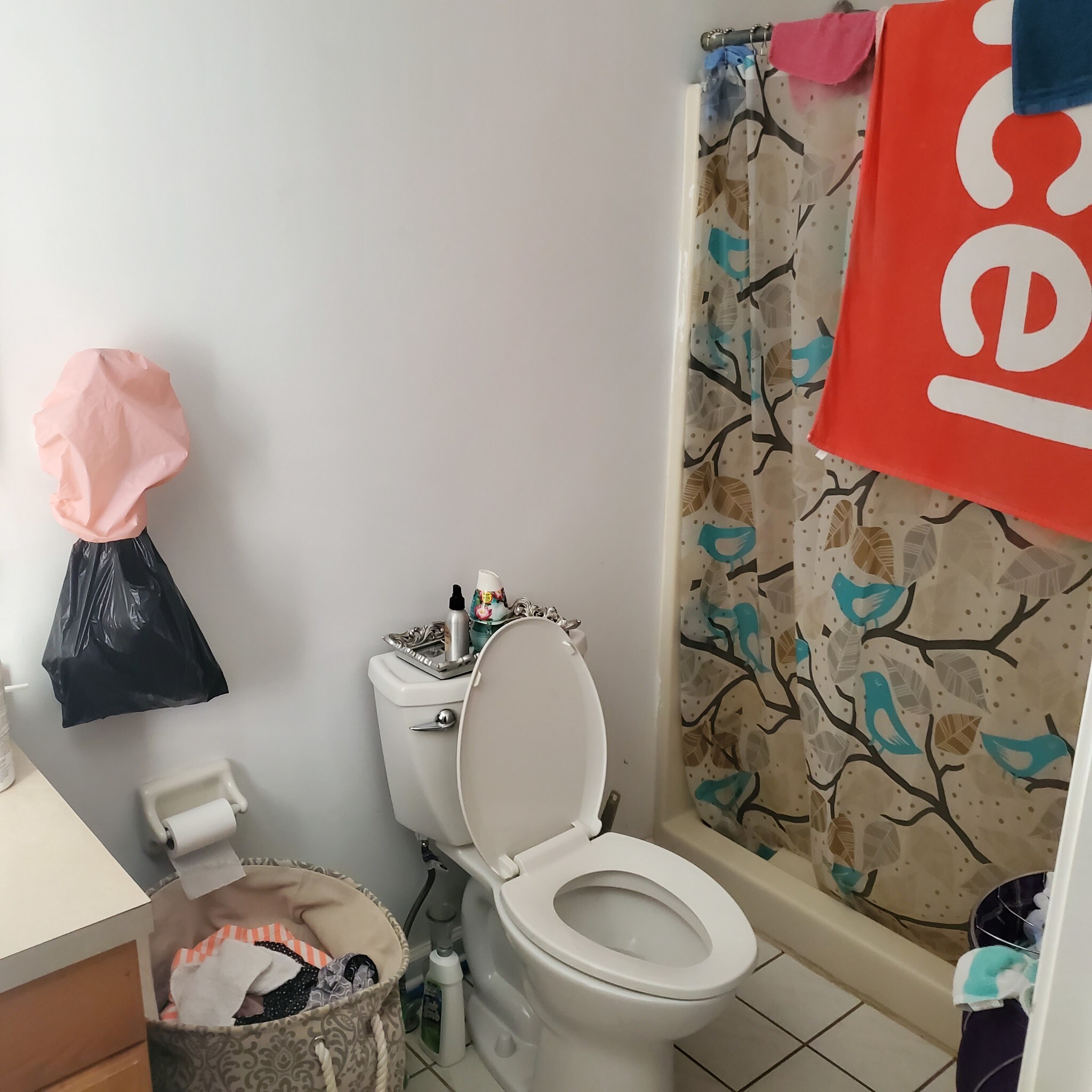 Master bedroom bathroom - 806 Hampden St