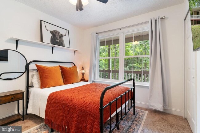 Building Photo - 12418 Red Rock Ct