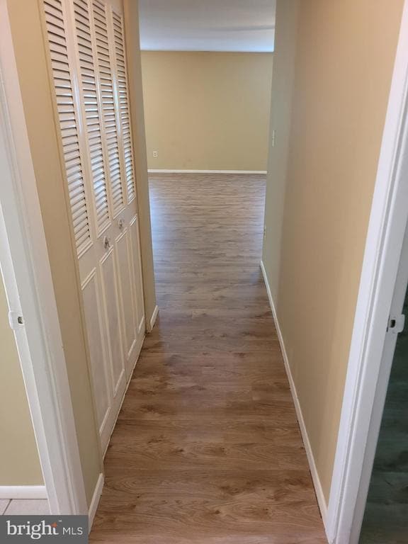 Building Photo - 47 Holstone Ln