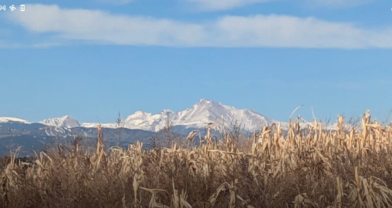 Building Photo - 2882 Ridge Dr