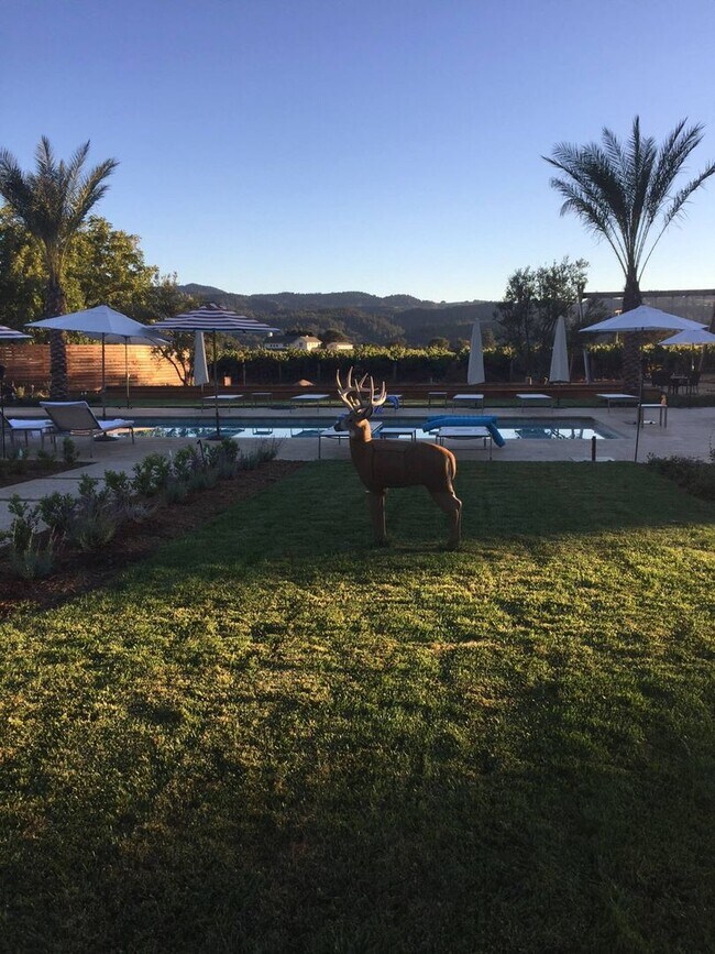 Building Photo - Fully Furnished Stunning Calistoga Retreat