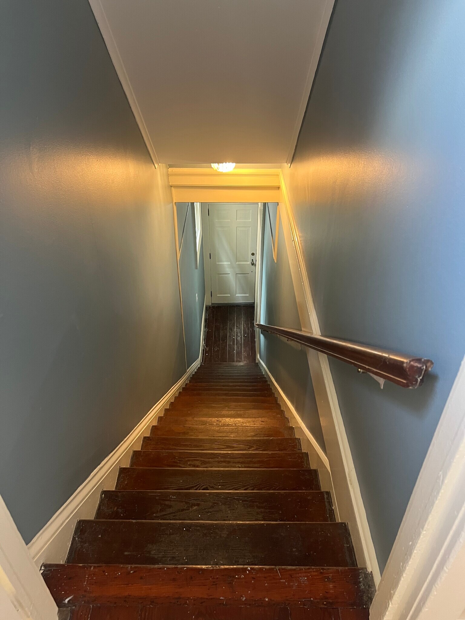Stairs down - 1436 Louisiana Avenue