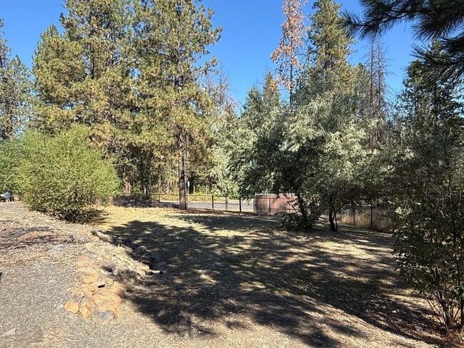 Building Photo - Beautiful 1 bed 1 bath home close to Spoka...
