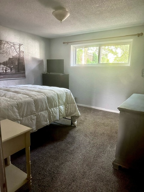 Building Photo - 3634 Alpine Pl