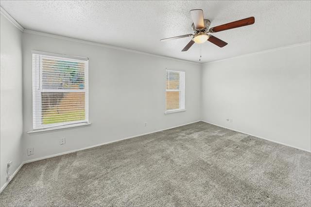 Building Photo - 3862 Wonder Ct