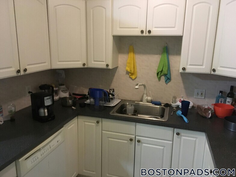 Building Photo - 62 Egmont St