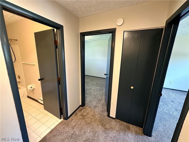 Building Photo - 233 Brunswick Dr