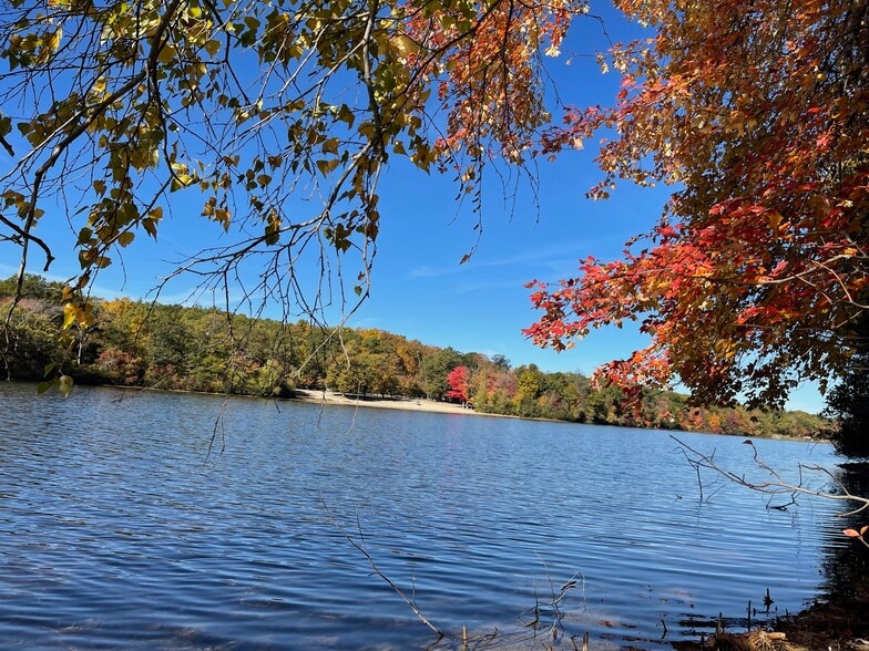 The pond - 17 Elderberry Dr