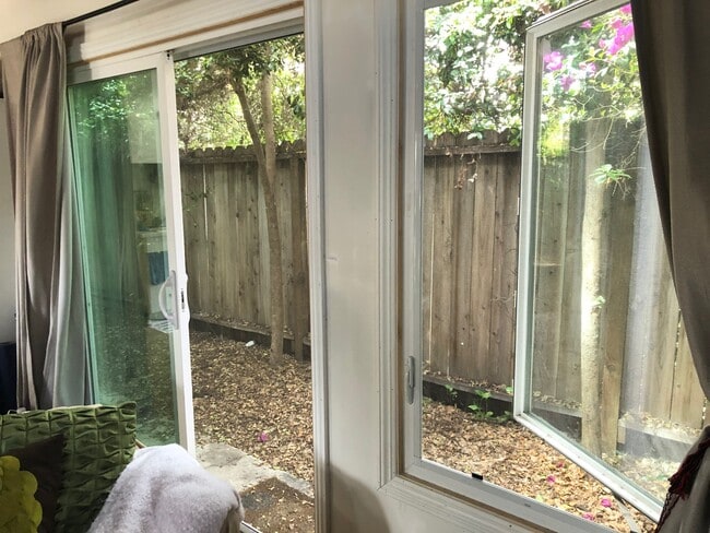 Backyard - 1514 Madrid Ave