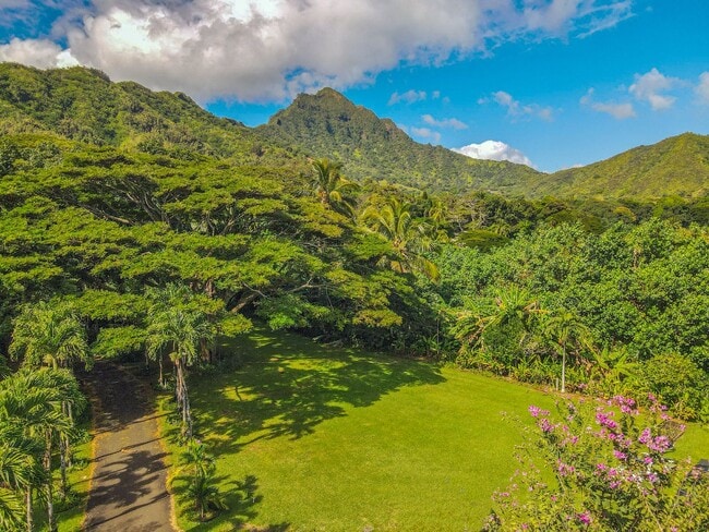 Building Photo - 49-51 Kamehameha Hwy