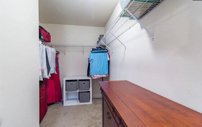 Building Photo - Stunning 3 Bedroom, 2.5 Bathroom- Concord Park in Cayce! Available July 2026!