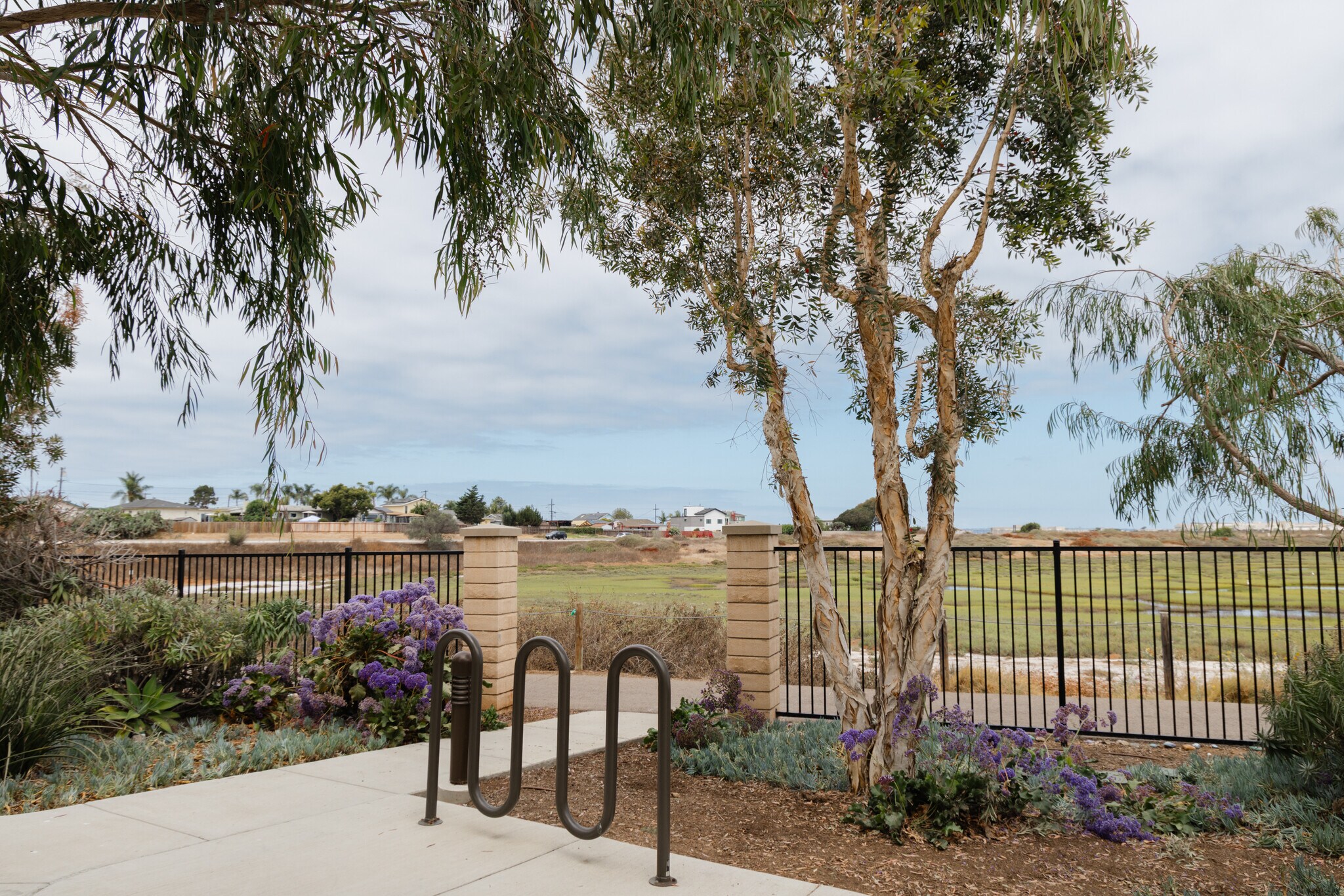 Building Photo - 505 Lark Way