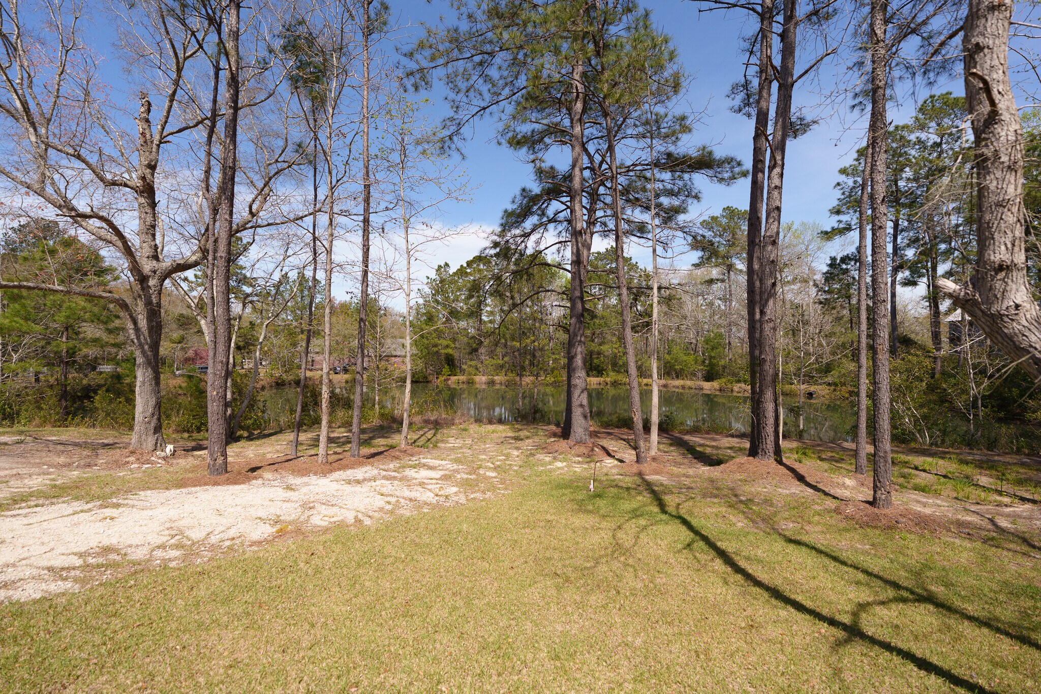 Building Photo - 60 Madison Dr