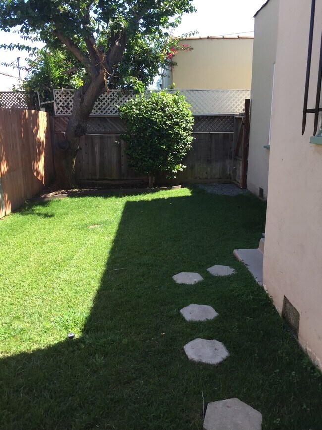 Backyard - 1418 S Doheny Dr