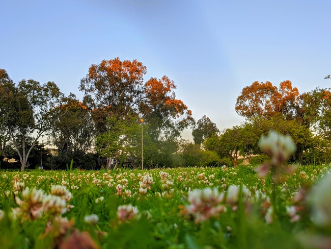 Villa La Jolla Park - 8440 Via Mallorca Via