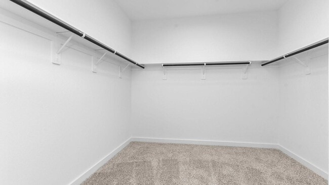 Building Photo - 3719 Zoeys Wy