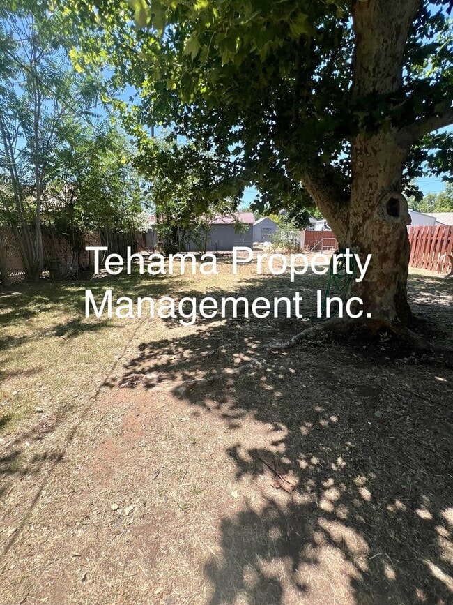 Building Photo - Victorian downtown location 3 bedroom 1 bath