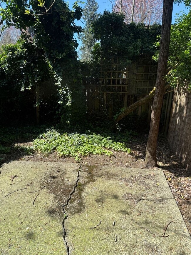 Building Photo - 739000