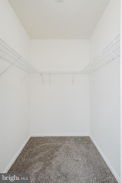 Building Photo - 557 Rhapsody Ct