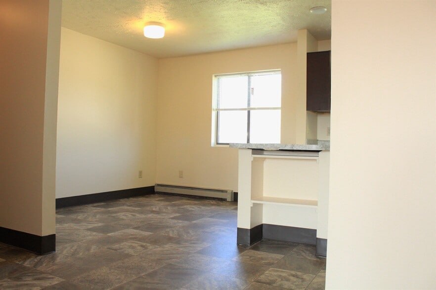 Parkstead City Center 207 Wealtha Ave Watertown NY 13601 Apartment