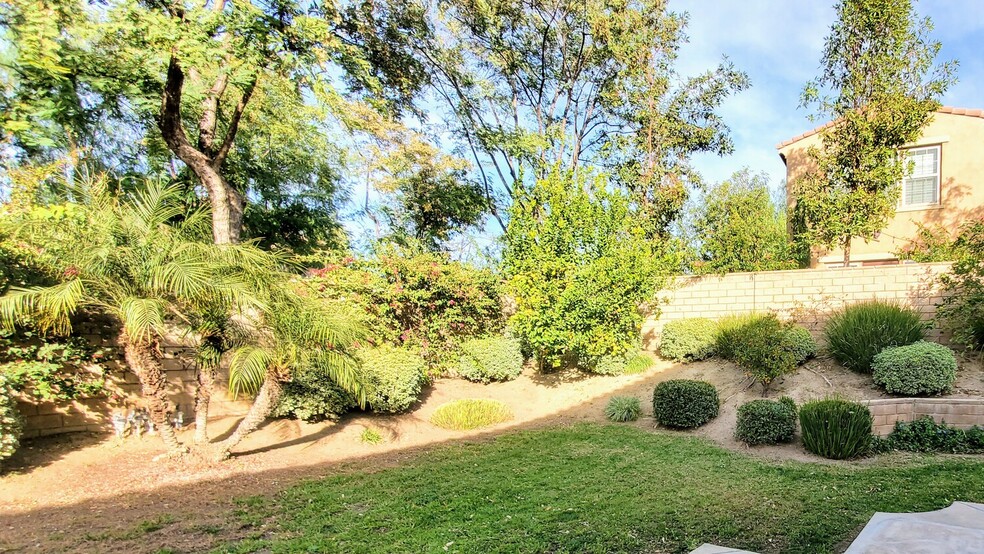 Backyard - 4317 Palazzo Ln