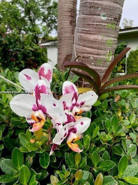Building Photo - 3 bedroom in Miami Shores FL 33150