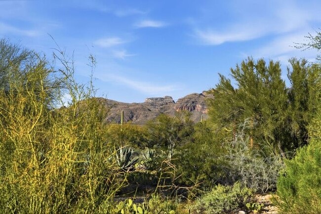 Building Photo - 2235 E Camino el Ganado