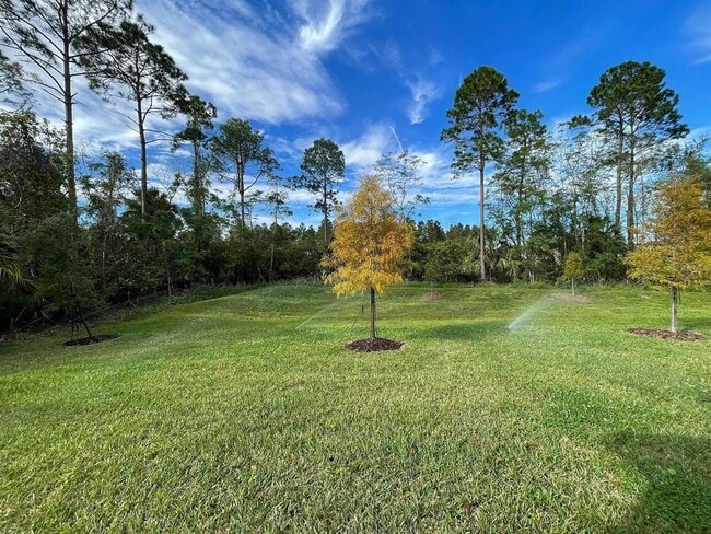 Building Photo - 17135 Cagan Crossings Blvd