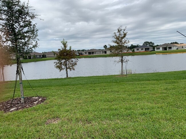 Building Photo - 17841 Blazing Star Cir