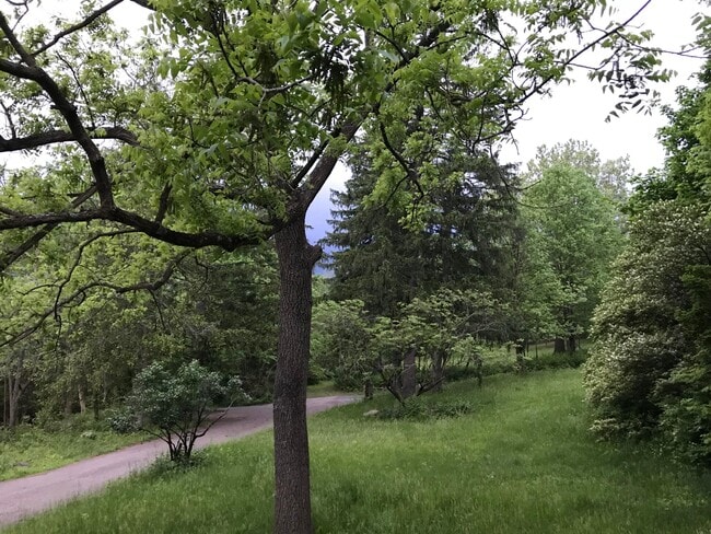 Building Photo - 7049 Riverside Dr