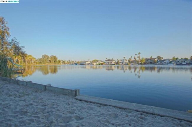 Building Photo - 1345 Shell Ct