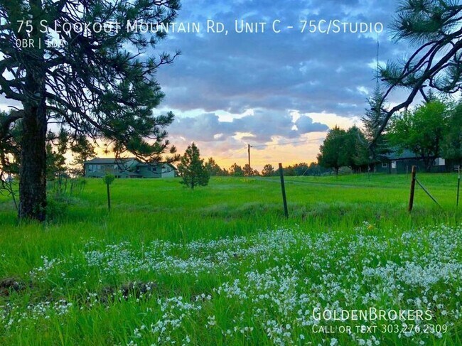 Building Photo - 75 S Lookout Mountain Rd