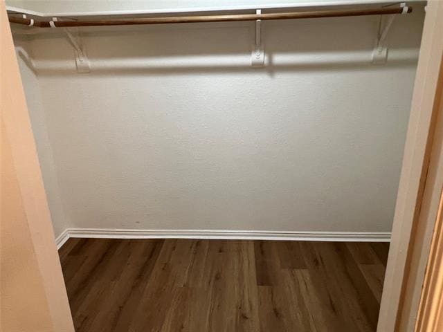 Building Photo - 1014 Holly St