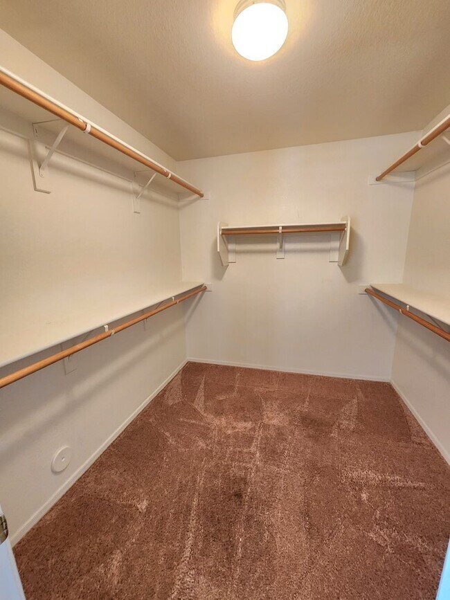 Building Photo - Beautiful 3 Bed/2 Bath with Pool!