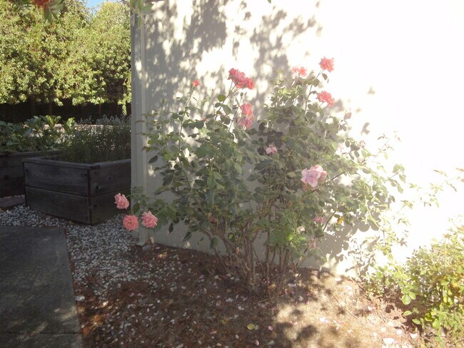 Building Photo - 3 Le Claire Ct